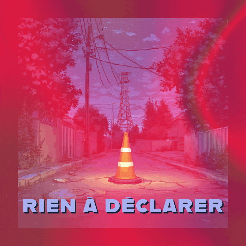 🙈 Rien à déclarer