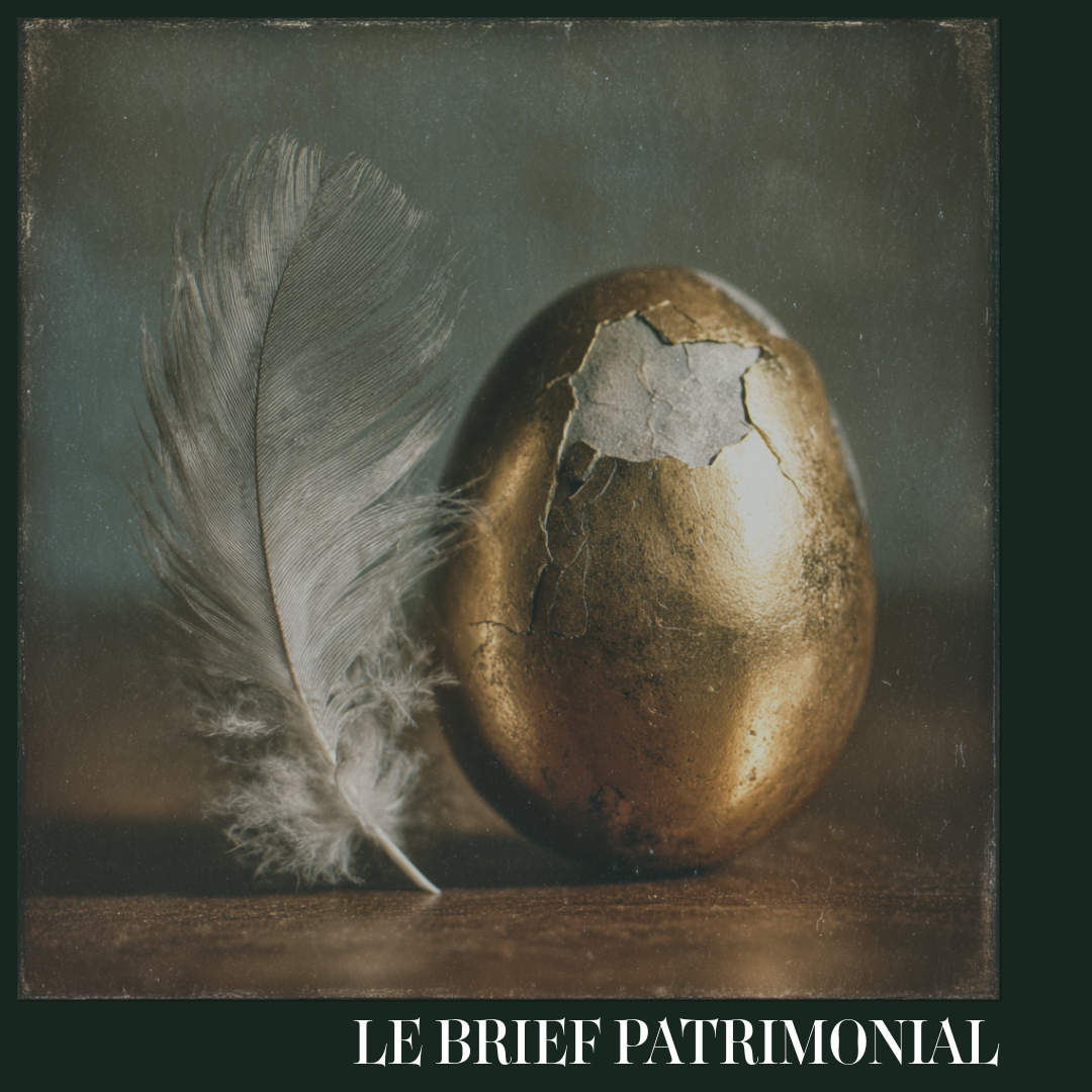 🏴‍☠️ Or Fugitif