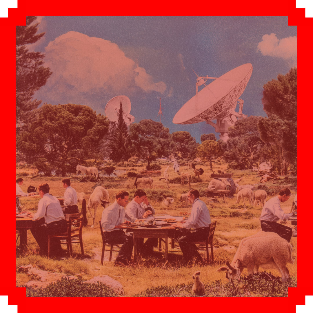 🚀 Quantum Circus
