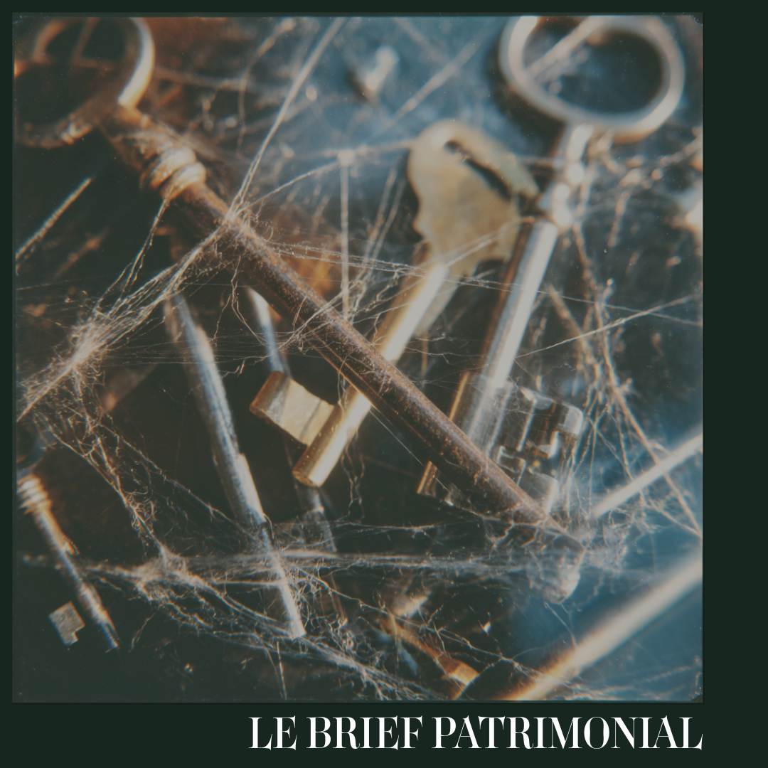 🌍 Géopolitique Immobilière