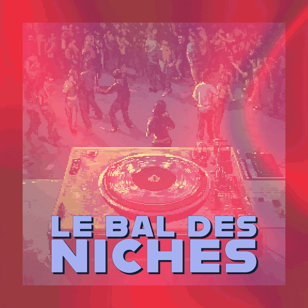 🕳️ Le bal des niches